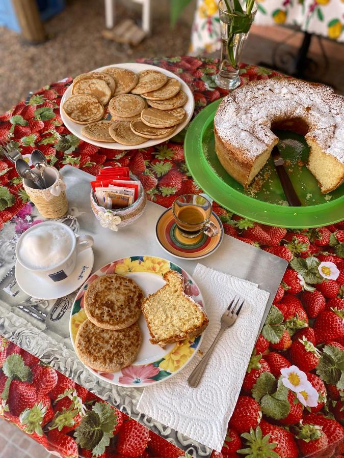 Tigrillo Bed&Breakfast 올비아 외부 사진