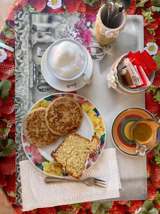 Tigrillo Bed&Breakfast 올비아 외부 사진