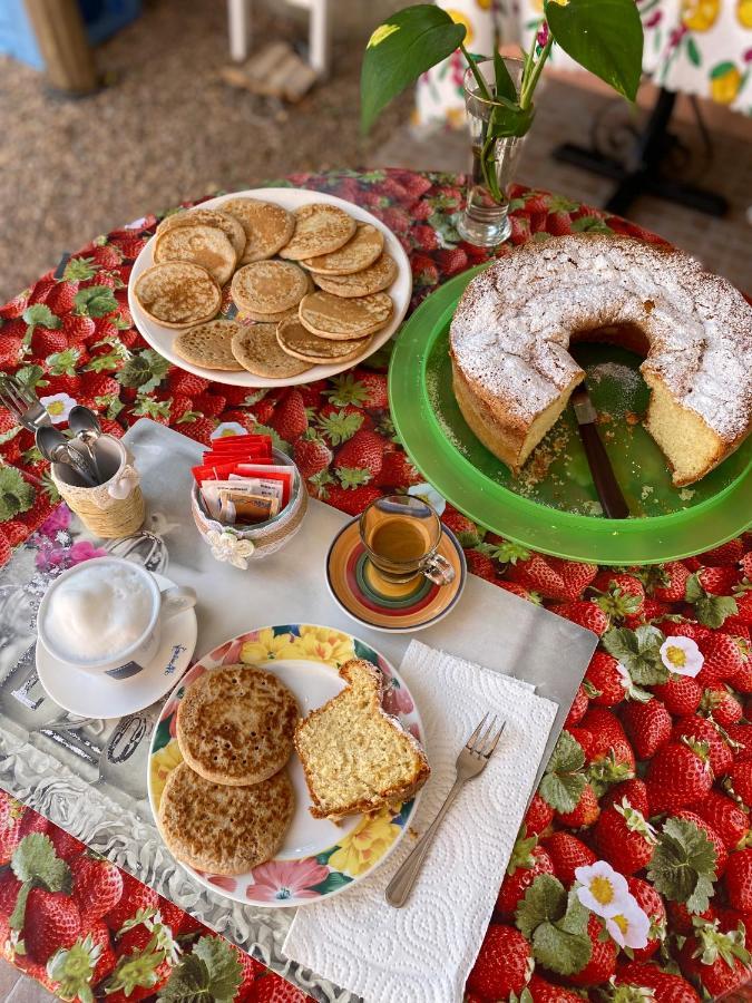Tigrillo Bed&Breakfast 올비아 외부 사진